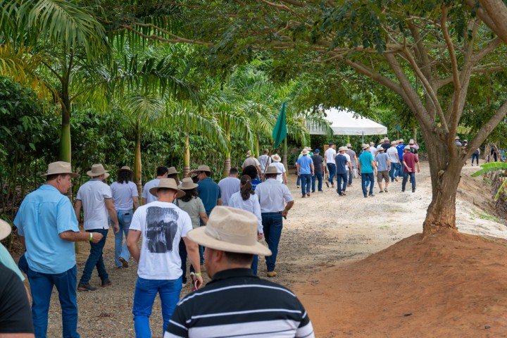 Expansão de Mercado